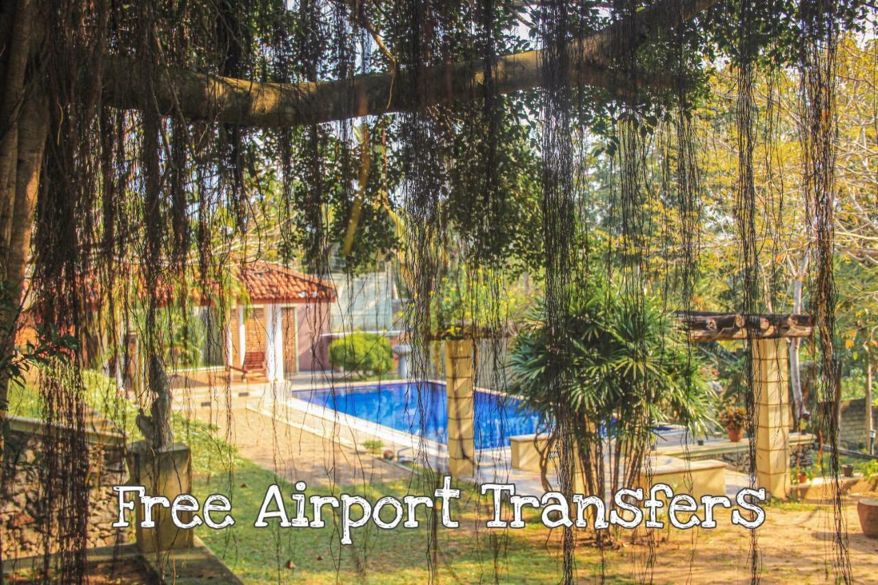 Airport Green Olive Villa Katunayaka Εξωτερικό φωτογραφία